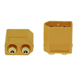 copy of STECKER, STECKER,...